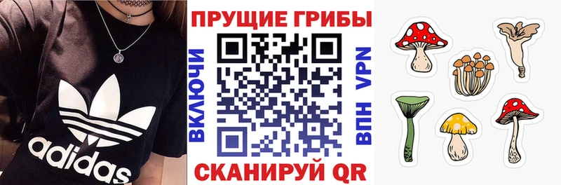 Купить  Александров  Псилоцибиновые грибы GOLDEN TEACHER 